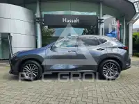 2025 Lexus NX450