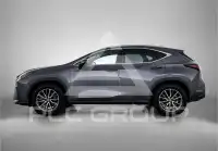 2025 Lexus NX450