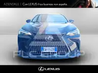 2025 Lexus NX450