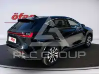 2025 Lexus NX450