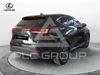 2025 Lexus NX450