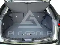 2025 Lexus NX450