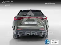 2025 Lexus NX450