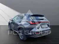 2025 Lexus NX450