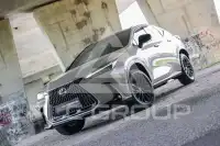 2025 Lexus NX450