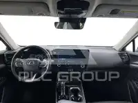 2025 Lexus NX450