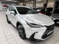 2025 Lexus NX450