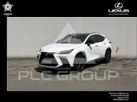 2025 Lexus NX450