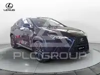 2025 Lexus NX450