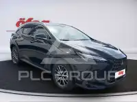 2025 Lexus NX450
