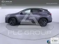 2025 Lexus NX450