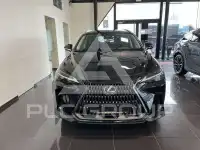 2025 Lexus NX450