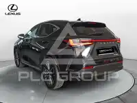 2025 Lexus NX450