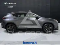 2025 Lexus NX450