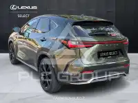 2025 Lexus NX450
