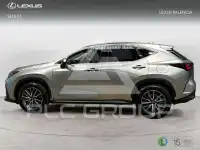 2025 Lexus NX450