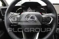 2025 Lexus NX450