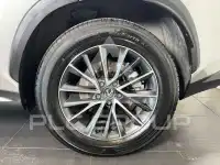 2025 Lexus NX450