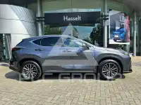 2025 Lexus NX450