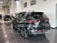 2025 Lexus NX450