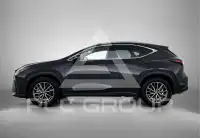 2025 Lexus NX450