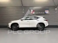 2025 Lexus NX450