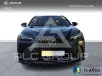 2025 Lexus NX450