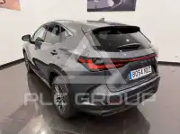 2025 Lexus NX450