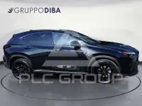 2025 Lexus NX450