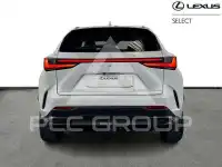 2025 Lexus NX450