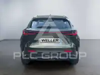 2025 Lexus NX450