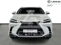 2025 Lexus NX450