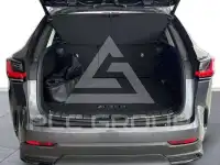2025 Lexus NX450