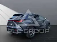 2025 Lexus NX450