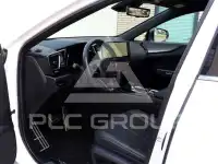 2025 Lexus NX450