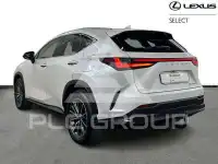 2025 Lexus NX450