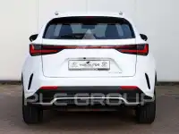 2025 Lexus NX450