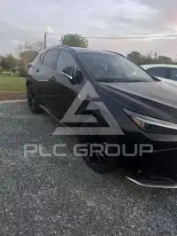 2025 Lexus NX450