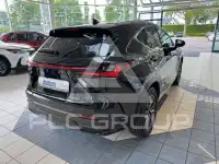 2025 Lexus NX450