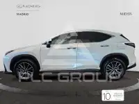 2025 Lexus NX450