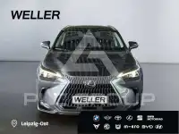 2025 Lexus NX450