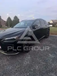 2025 Lexus NX450