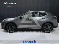 2025 Lexus NX450