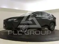 2025 Lexus NX450
