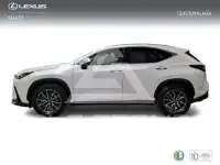 2025 Lexus NX450