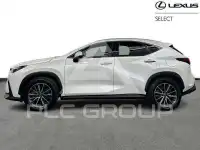 2025 Lexus NX450