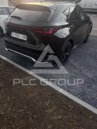 2025 Lexus NX450