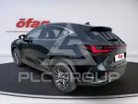 2025 Lexus NX450