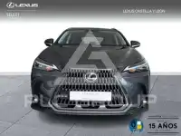 2025 Lexus NX450