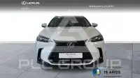 2025 Lexus NX450